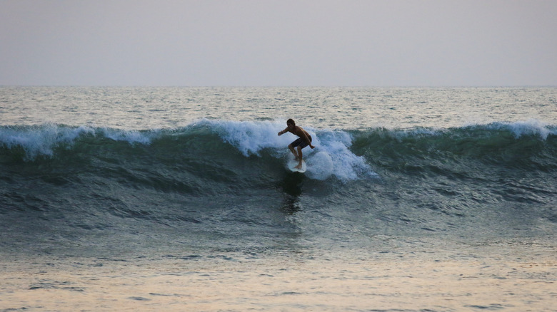 El tunco, el salvador