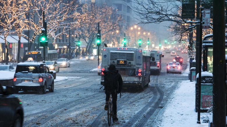 A snowy Chicago evening, with the trees lit up for the holidays along a busy street