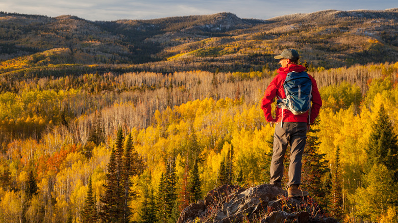 Male hiker in Colorado