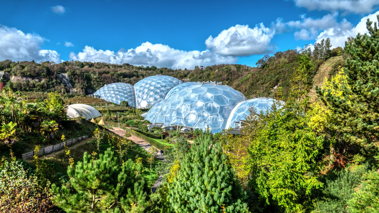 The hexagonal exterior of the Eden Project surrounded by greenery in Cornwall