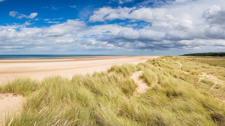 Holkham beach daylight