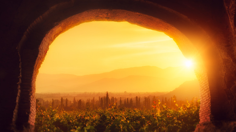 looking through a stone arch