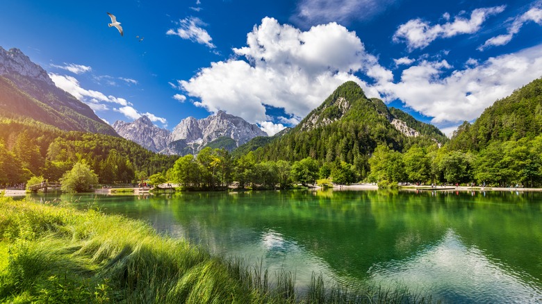 Lake Jasna in Triglav National Park