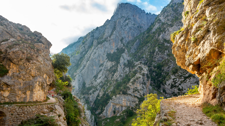 the high trail of ruta de cars in front of a tall mountain