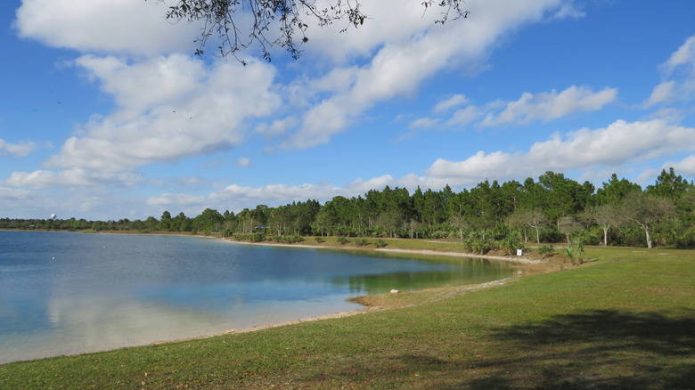 A lake and trees on a sunny day in Larry and Penny Thompson Park, Miami