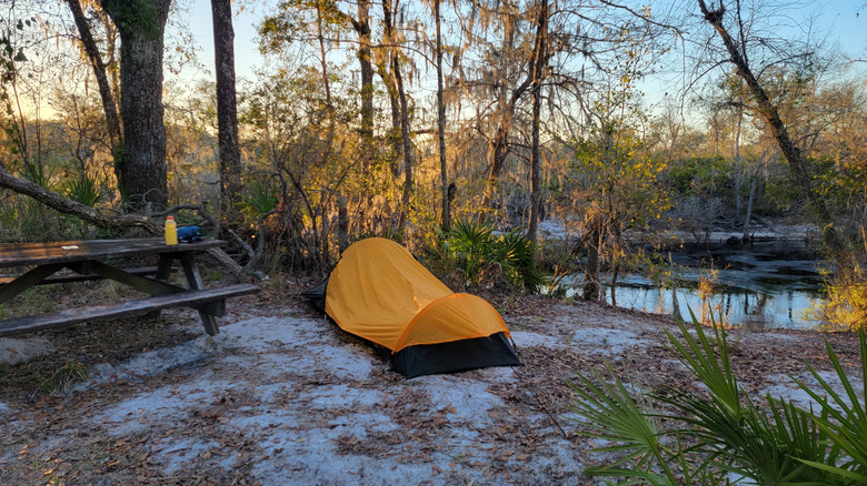 Tent at Suwanee River State Park campground