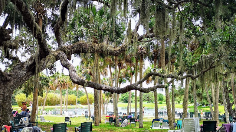 Warm Mineral Springs Park in North Port, Florida