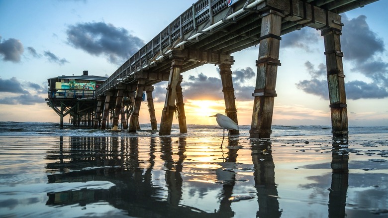 Pier at Daytona Beach at dawn with egret