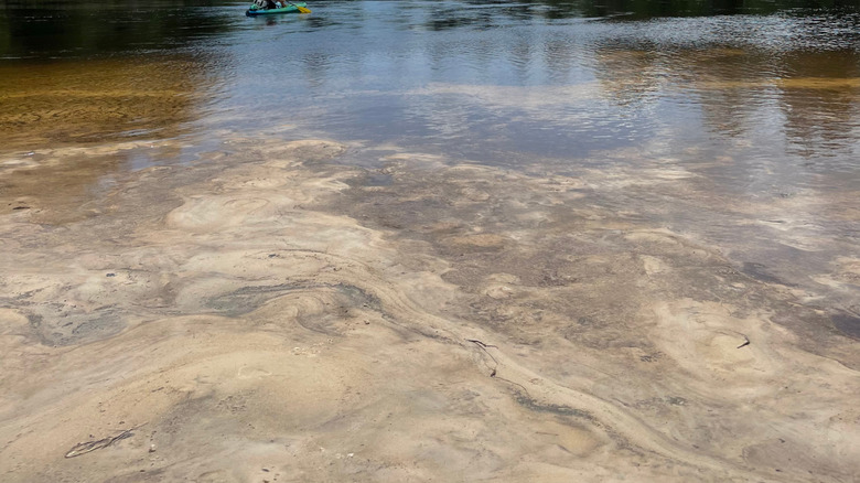 Kayaker passes a beach on Florida's Blackwater River