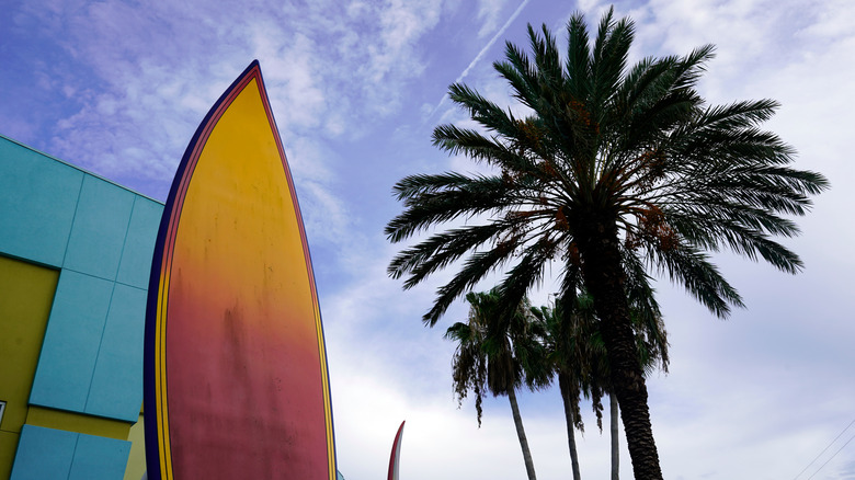 Surfboard and palm tree