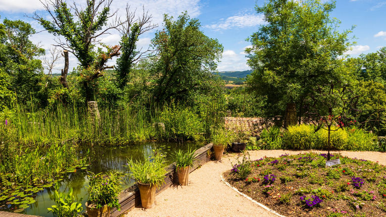 Pond and vegetable garden at Jardin des Paradis in Cordes-sur-Ciel