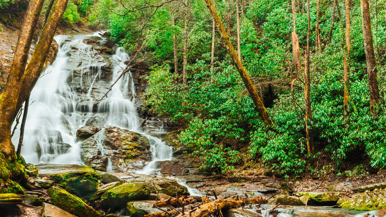 High Shoals Falls streaming through lush forest