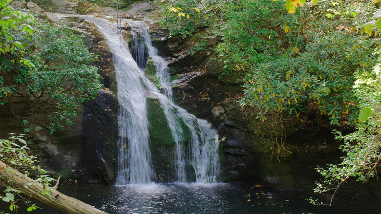 High Shoals Falls in Georgia in forest