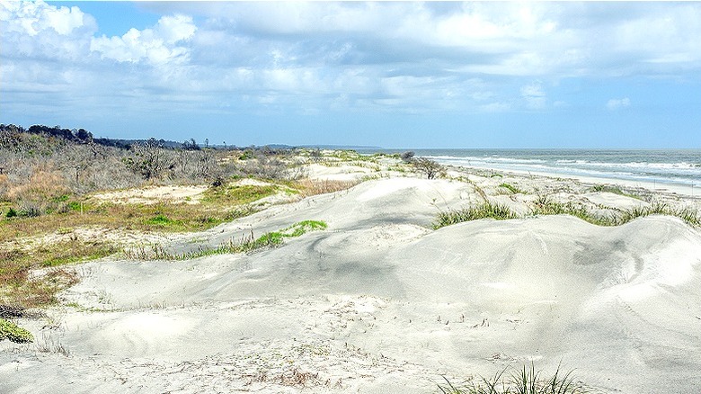 Sand dunes on Sapelo Island