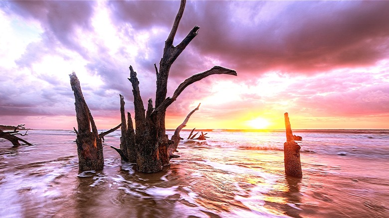 Sunrise over Sapelo Beach