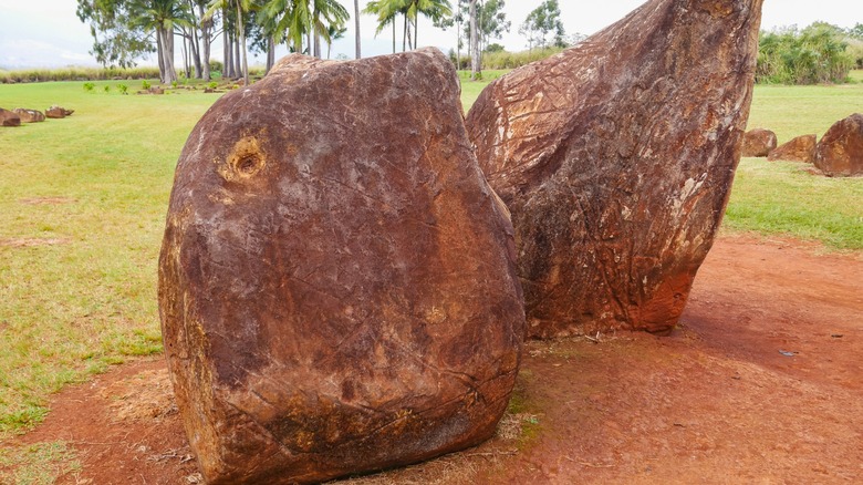 Close up photo of the Kukaniloko Birthing Stones.