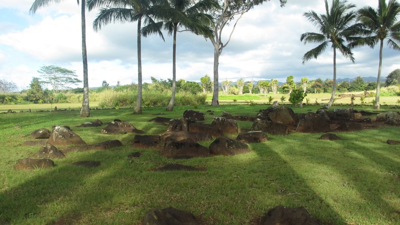 The Kukaniloko Birthing Stones beneath palm trees.