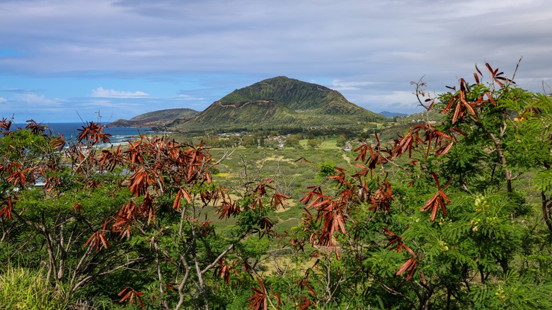 View of hills on Oahu, Hawaii