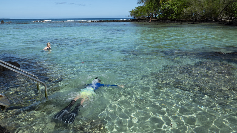 person snorkeling in water