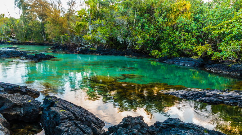 Black lava rock on clear water