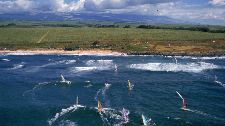 Windsurfing at Hookipa Beach