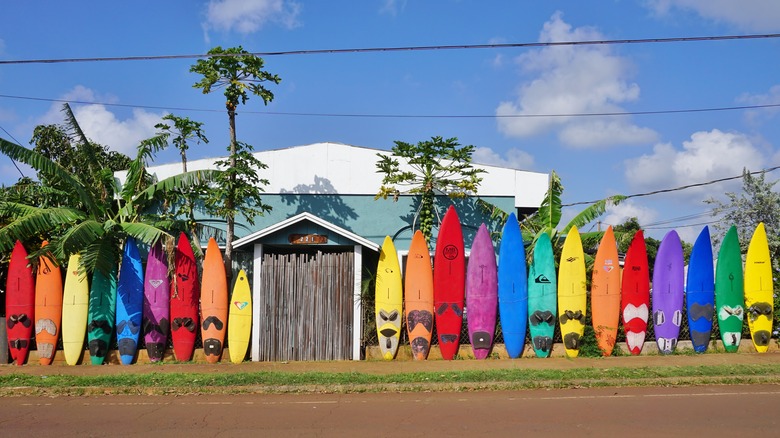 Colorful surfboards in Paia Maui