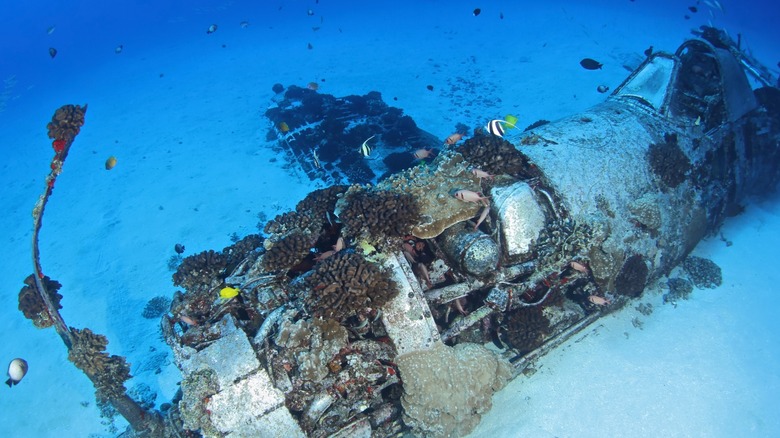 The Corsair plane wreck site in O'ahu, Hawai'i