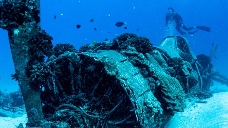 Front view of the Corsair plane wreck site in O'ahu, Hawai'i.