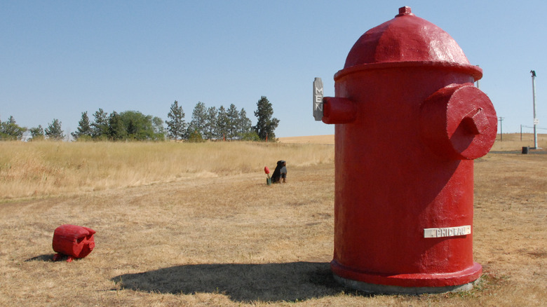 A fire hydrant at Dog Bark Park in Cottonwood, Idaho