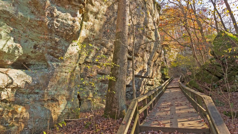 Giant City State Park landscape