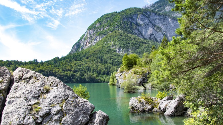 water and surrounding trees at Lake Molveno in Italy