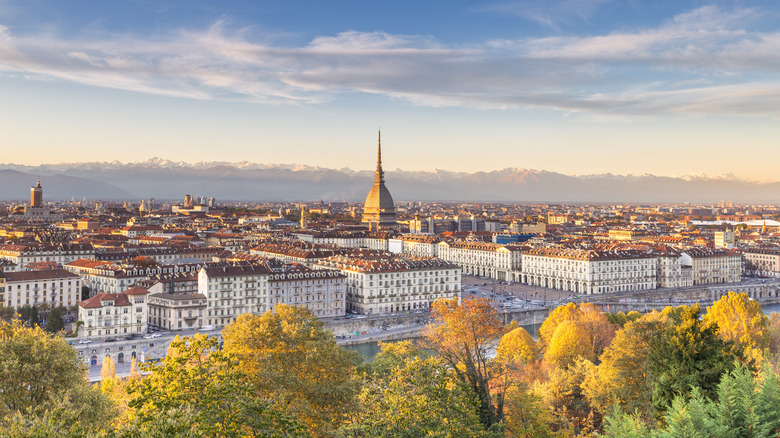 Turin skyline with Alps in the background