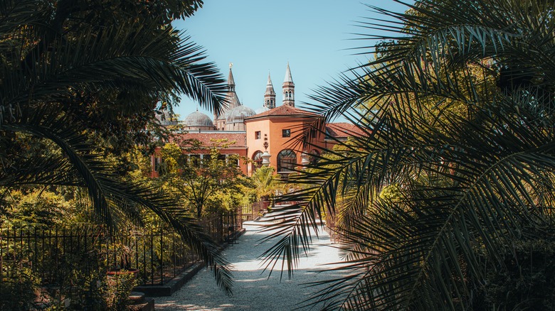 Garden path with building