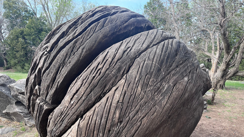 Unique grooved stone at Rock City Park