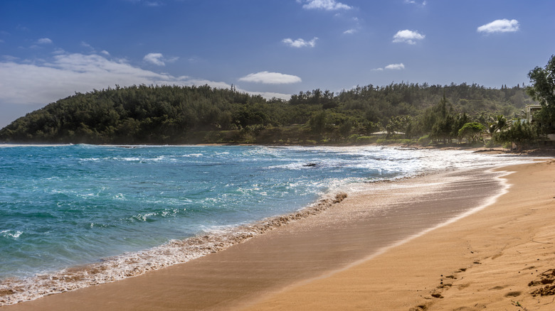 Panoramic view of the sandy shoreline of Moloaa Beach