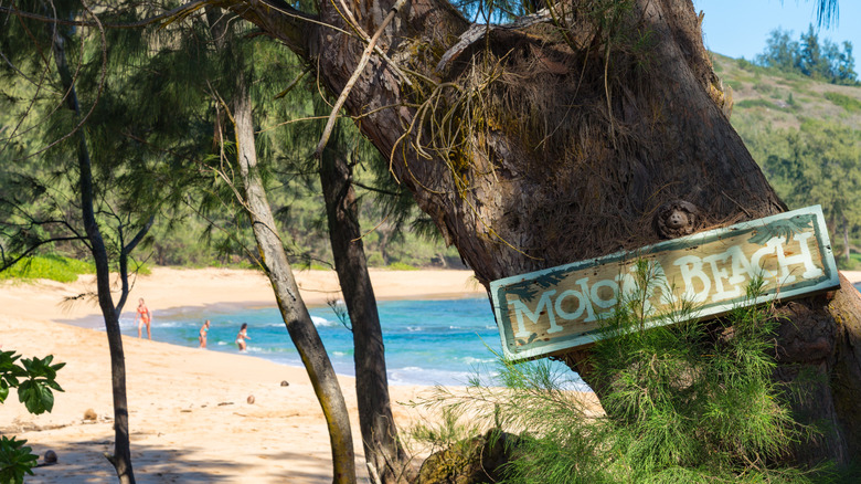 View of Moloa`a Beach sign with shoreline in background