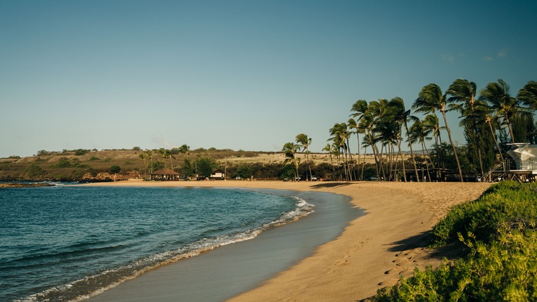 View of shoreline at Salt Pond Beach park