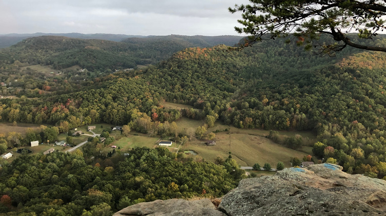 Berea, Kentucky's Pinnacles landscape