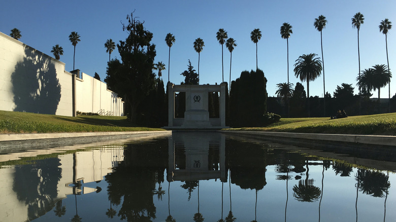 Pool of water reflecting palms with grassy lawn and monument