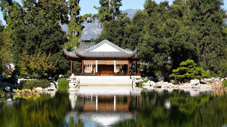 The Chinese Garden at The Huntington