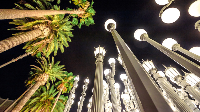 Palm trees and Urban Light in Los Angeles