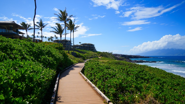 Boardwalk along the Kapalua Coastal Trail in Hawaii