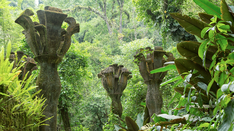 Flower structures in Las Pozas