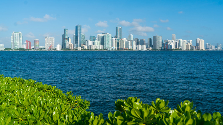 View of Miami skyline from Virginia Key in Florida