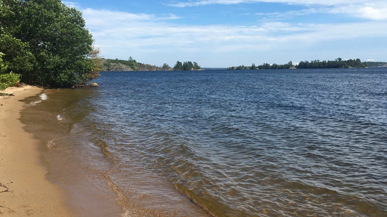 Lake Huron beach with trees