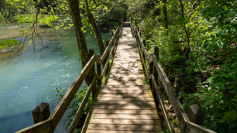 Boardwalk on hiking trail at Ha Ha Tonka State Park