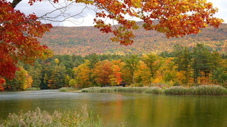 Lakeside autumnal beauty in The Berkshires, MA