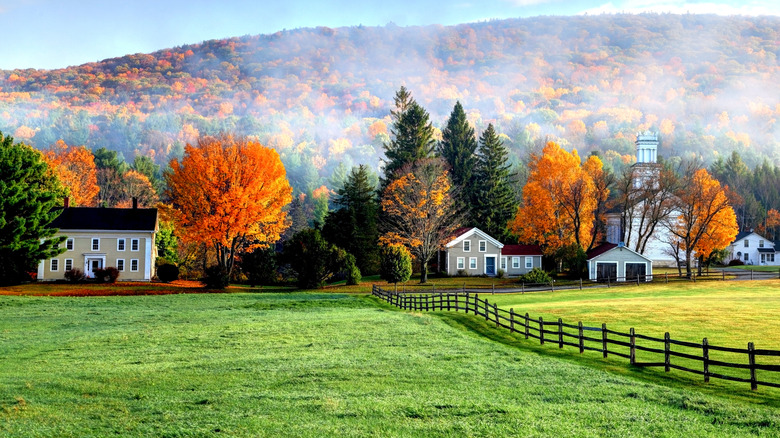 The Berkshires in MA during autumn