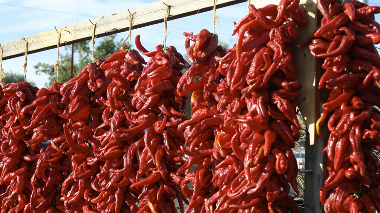 Dried chile ristras hanging at a farmer's market