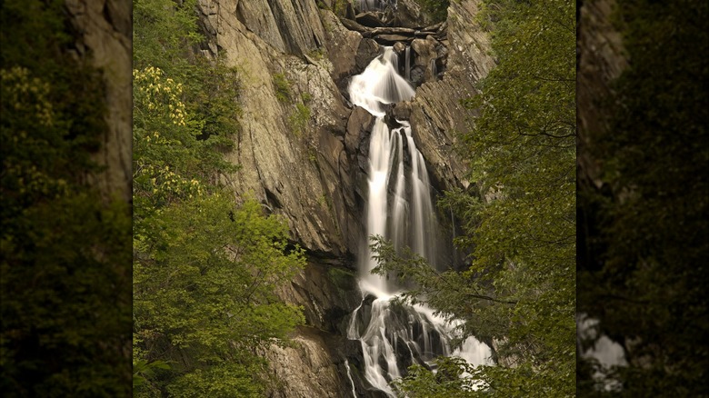 High Falls waterfall in New York surrounded by trees